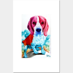 Beagle Posters and Art